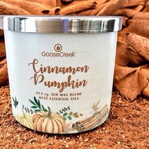 🆕40+ Hrs Cinnamon Pumpkin 3 Wick Candle